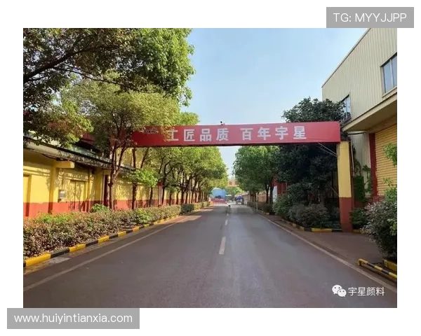 杏宇娱乐简介：探索公司在用户体验优化和内容创新方面的最新动态